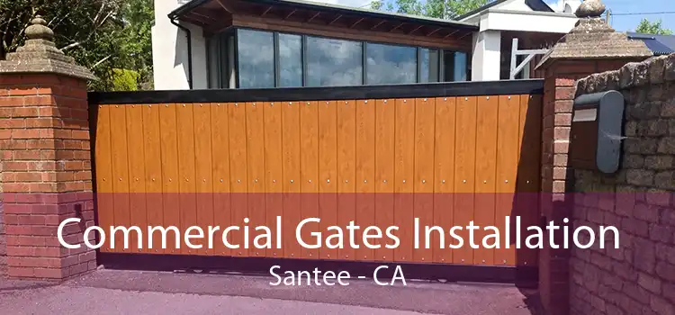 Commercial Gates Installation Santee - CA