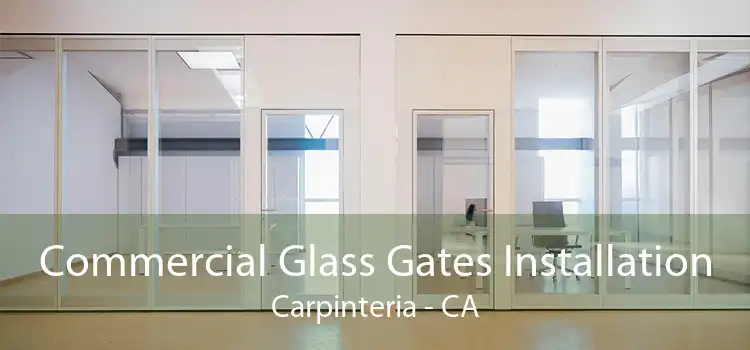 Commercial Glass Gates Installation Carpinteria - CA