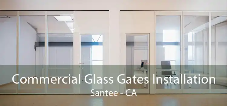 Commercial Glass Gates Installation Santee - CA