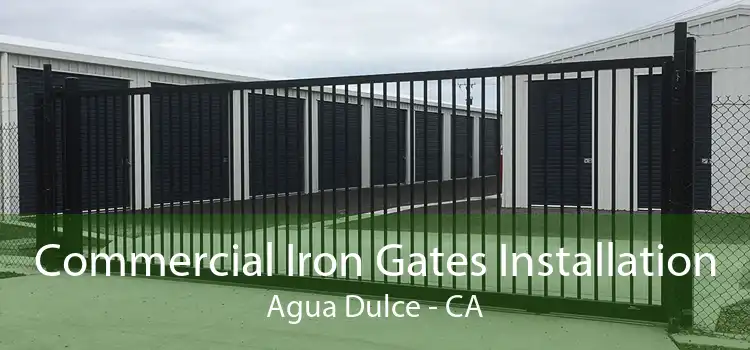 Commercial Iron Gates Installation Agua Dulce - CA