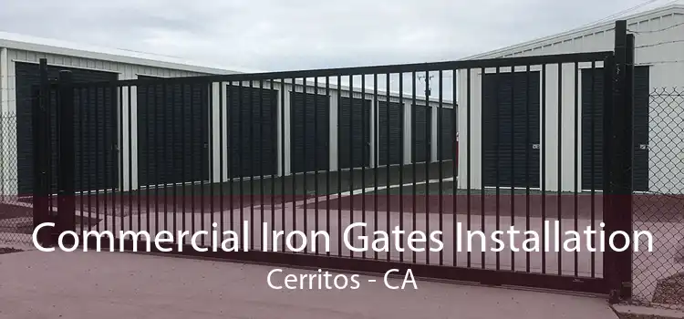 Commercial Iron Gates Installation Cerritos - CA