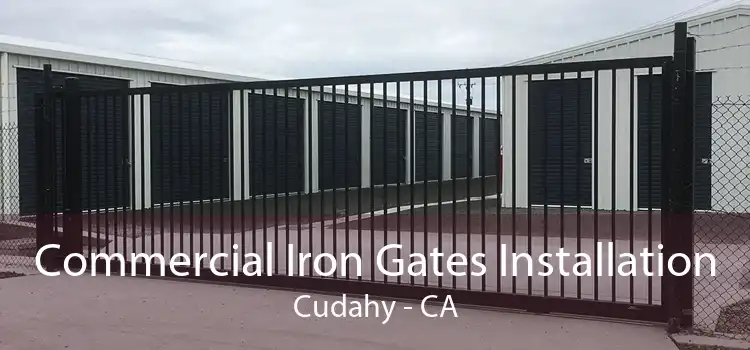 Commercial Iron Gates Installation Cudahy - CA