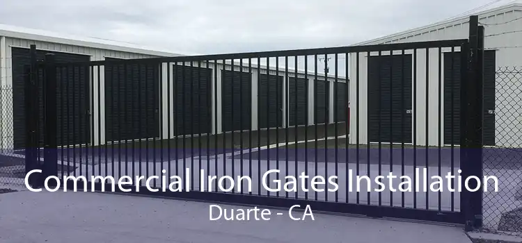 Commercial Iron Gates Installation Duarte - CA