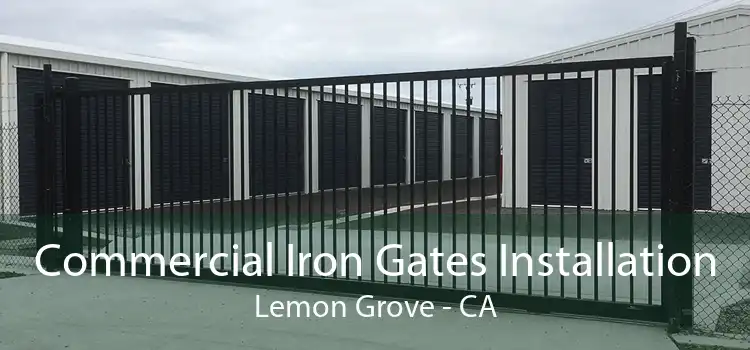 Commercial Iron Gates Installation Lemon Grove - CA