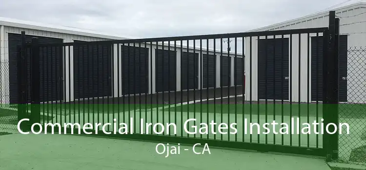 Commercial Iron Gates Installation Ojai - CA