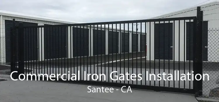 Commercial Iron Gates Installation Santee - CA