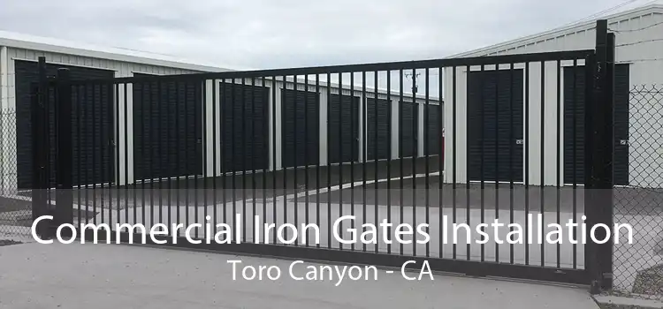 Commercial Iron Gates Installation Toro Canyon - CA