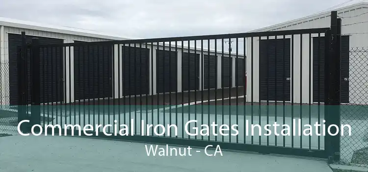 Commercial Iron Gates Installation Walnut - CA